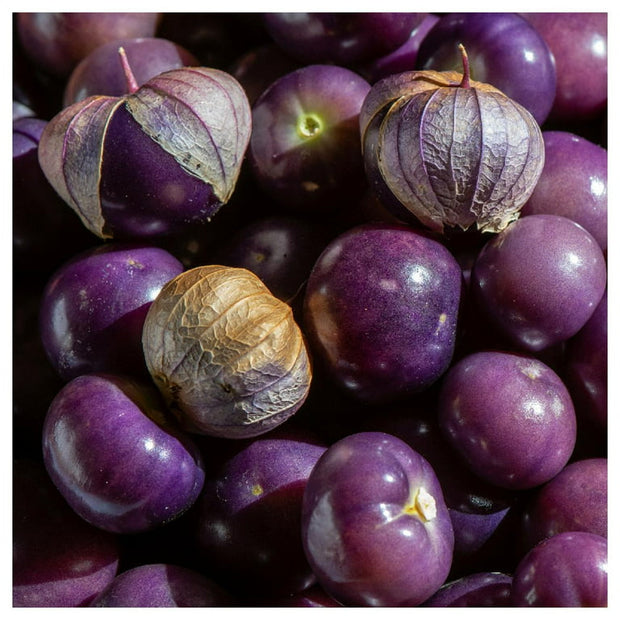 Purple Tomatillo Seeds - Non GMO